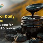 Shilajit for Daily Wellness: A Natural Boost for Energy and Balance