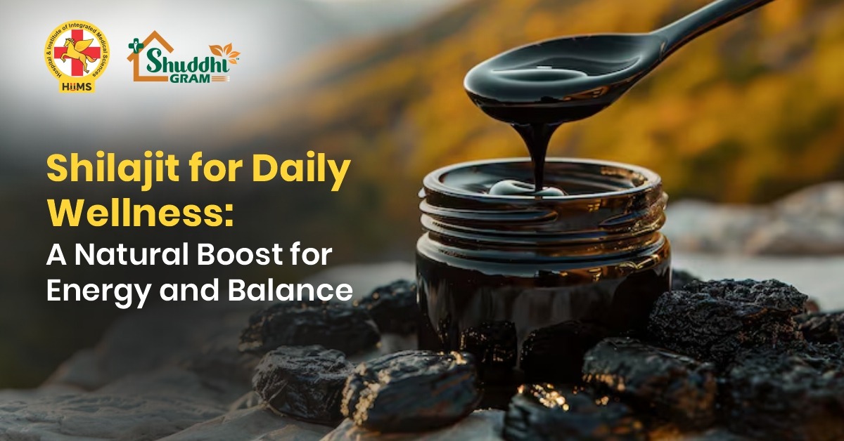 Shilajit for Daily Wellness